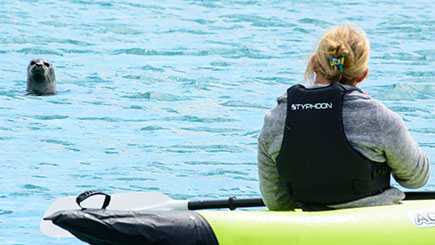 Kayaking with Seals in Oban, Scotland Image 2