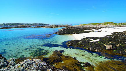 Seal Watching for Two in Oban, Scotland Image 3