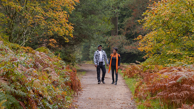 Family Visit to Wakehurst for Four People Image 4