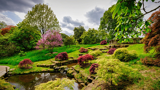 Family Visit to Wakehurst for Four People Image 5