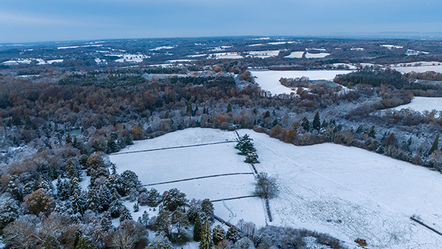 A Visit to Wakehurst for Two Image 5