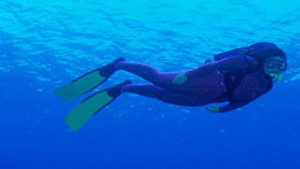 Click to view details and reviews for Scuba Diving For Two In Hampshire.