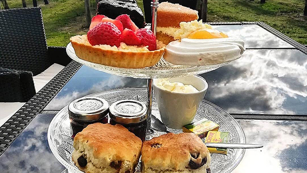 Afternoon Tea at Yorkshire Heart Vineyard and Brewery for Two picture