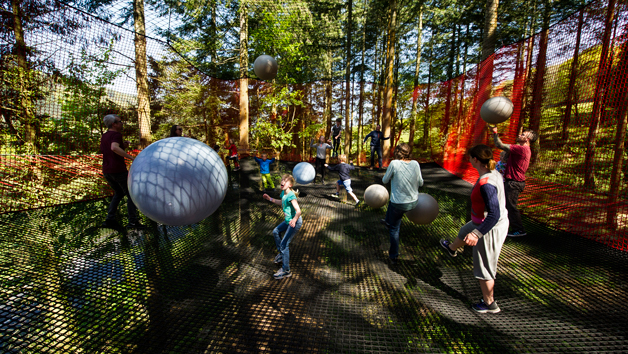 Treetop Nets for Two at Zip World, Wales Image 3