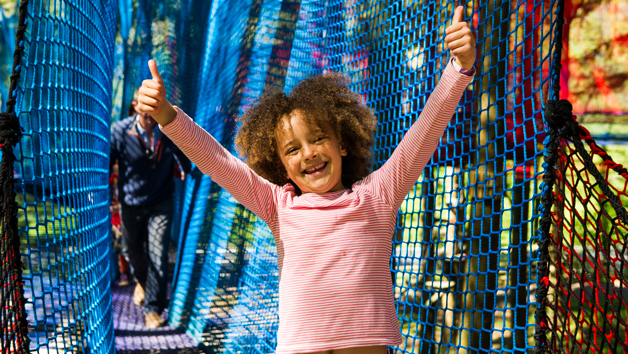 Treetop Nets for Two at Zip World, Wales Image 4