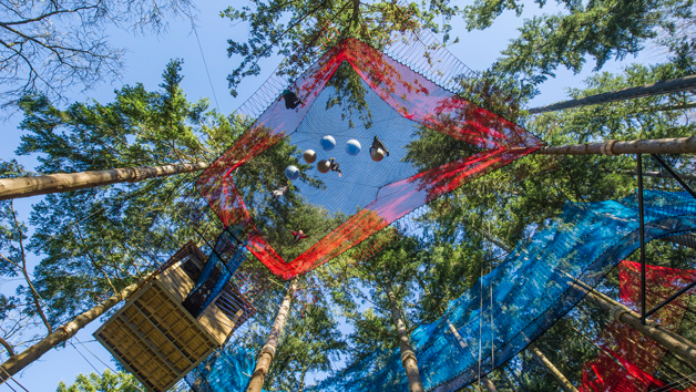 Treetop Nets for Two at Zip World, Wales Image 5