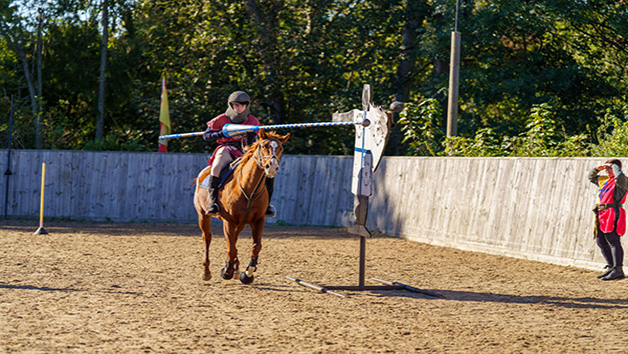 Jousting Experience for One in Warwick picture