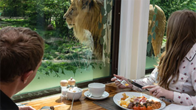 Luxury Lodge Overnight Stay at The Big Cat Sanctuary for Two – Weekdays Image 1