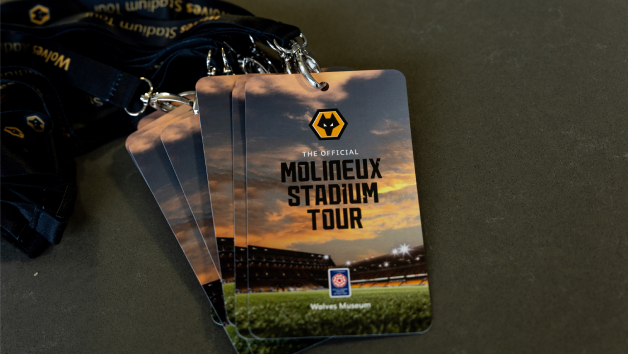 Molineux VIP Stadium Tour with Wolves Football Club for One picture