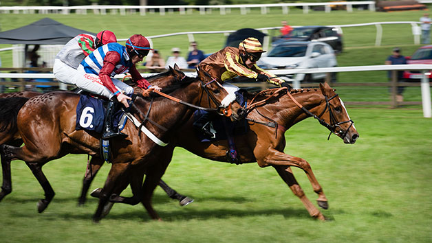 Horse Racing Day At Chepstow Racecourse For Two