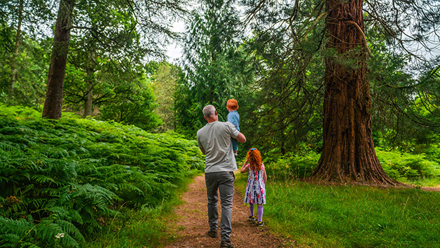 Family Visit to Wakehurst for Four People | Red Letter Days