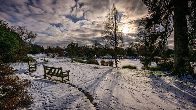 A Visit to Wakehurst for Two Image 2