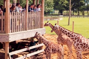 Entry to Whipsnade Zoo for One Adult and One Child Image 4