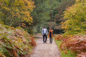 A Visit to Wakehurst for Two  picture