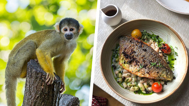 Buy Three Course Meal at Gordon Ramsay's York and Albany and London Zoo for Two Buy Three Course Meal at Gordon Ramsay's York and Albany and London Zoo for Two