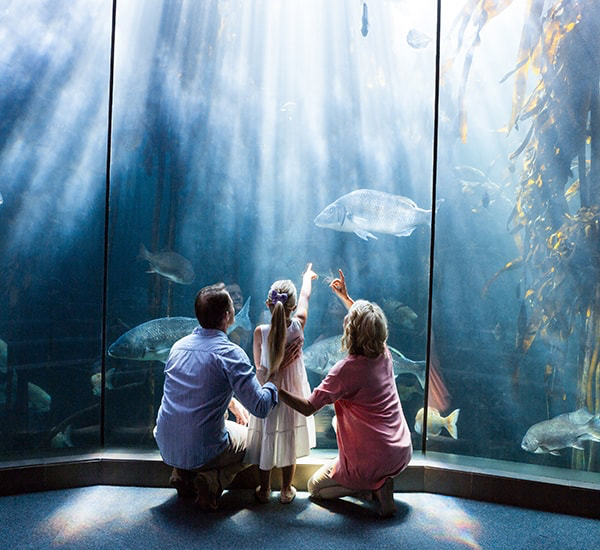 Attractions & Tours Attractions & Tours