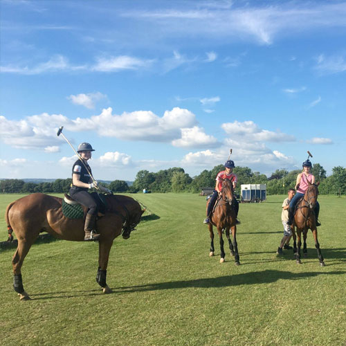 Polo Game with Lunch at Taunton Vale Polo Club for On