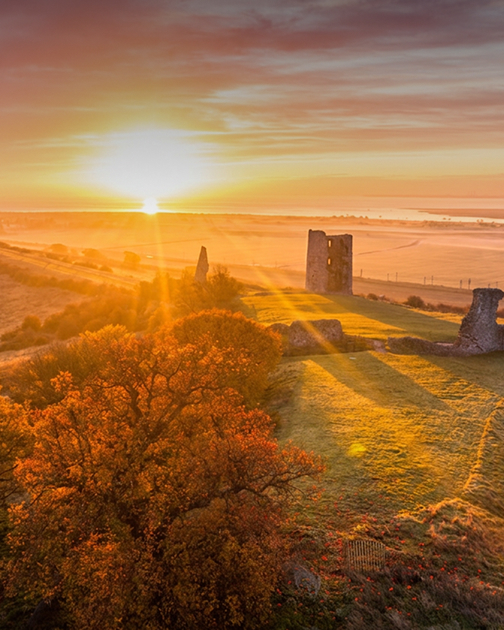 Essex